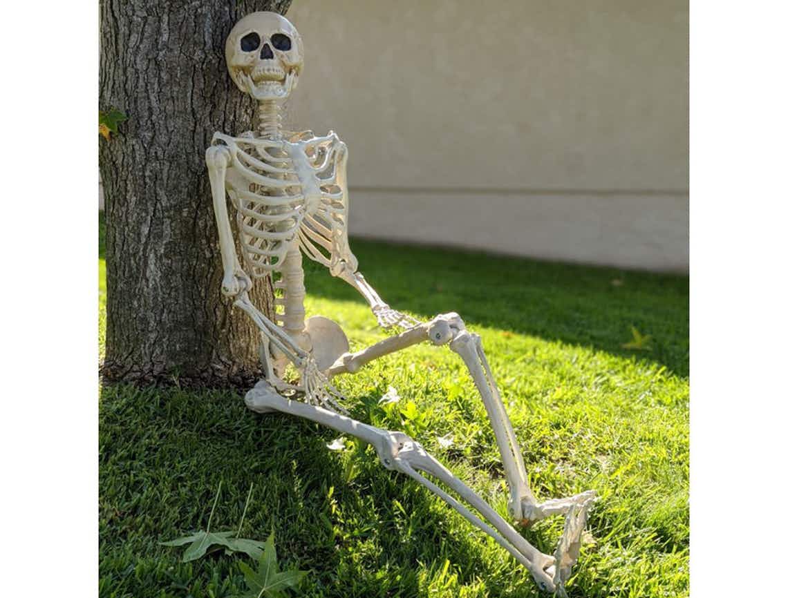 stock photo of way to celebrate five foot skeleton sitting under tree