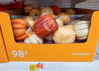way-to-celebrate-foam-pumpkins