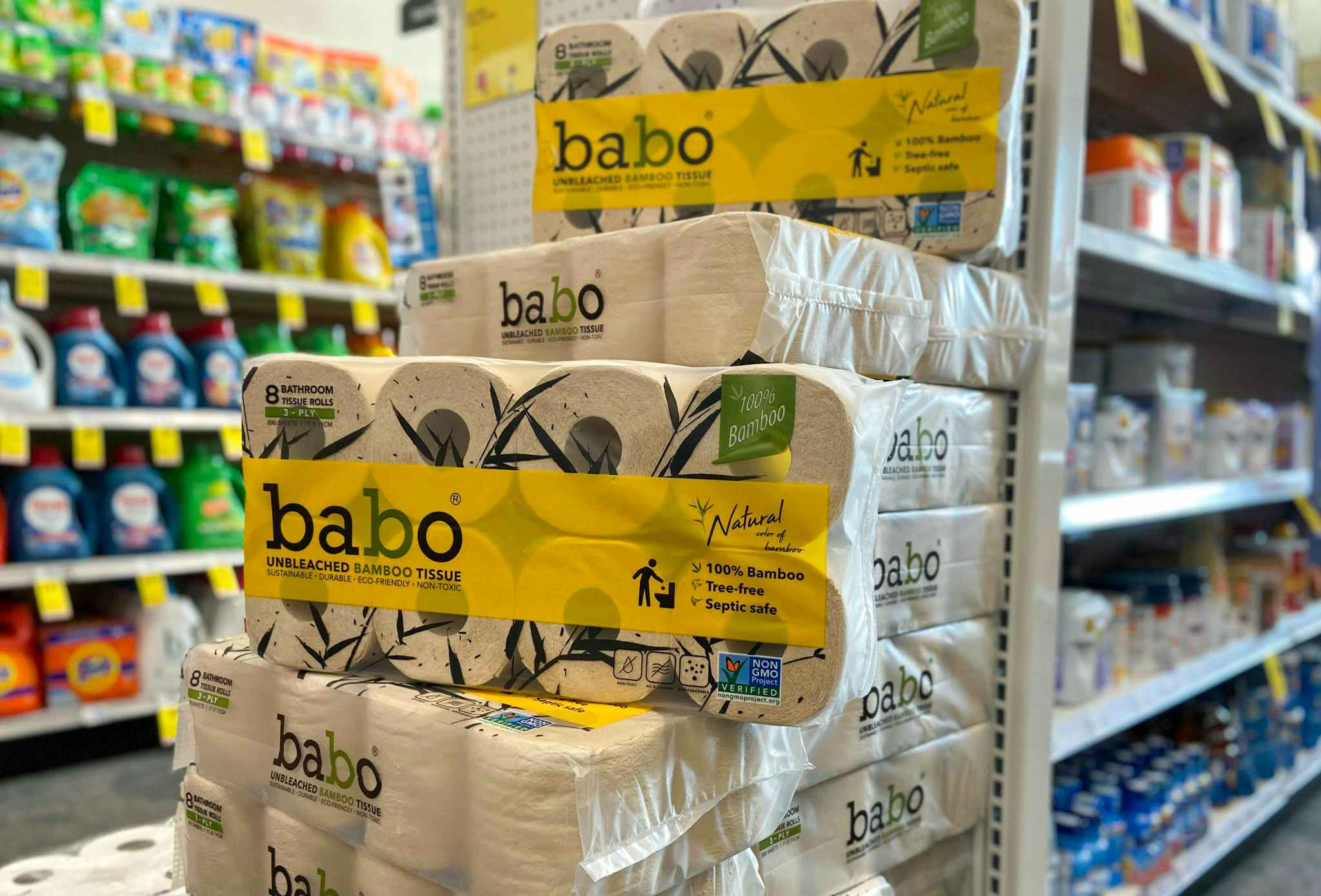 cvs-babo-b1g2-2021