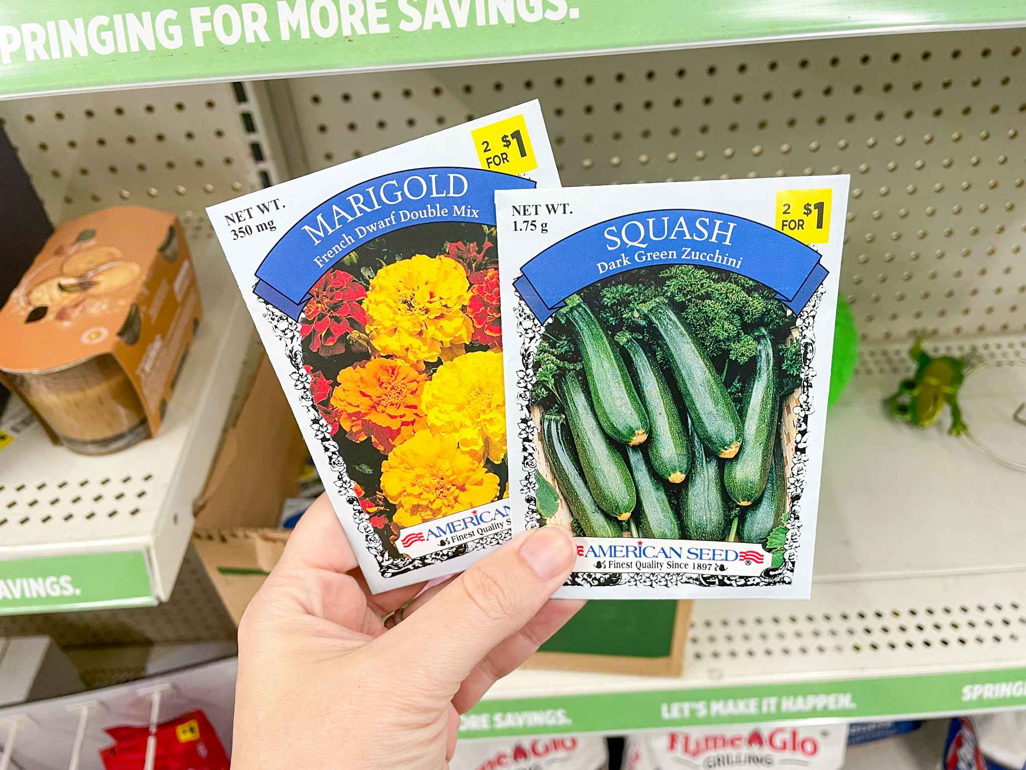 Someone holding packets of seeds in front of a shelf in a store