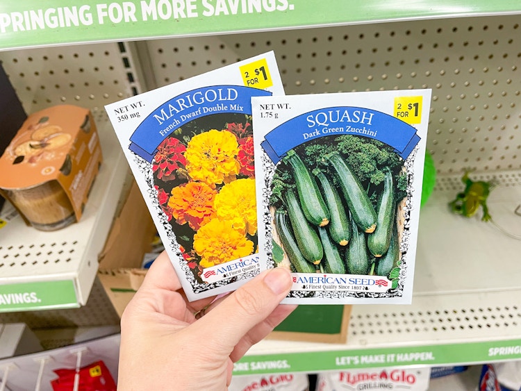 someone holding marigold and squash seeds