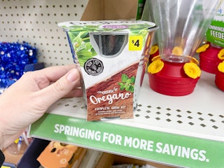 dollar general oregano 2021 th 1634923598 1634923598