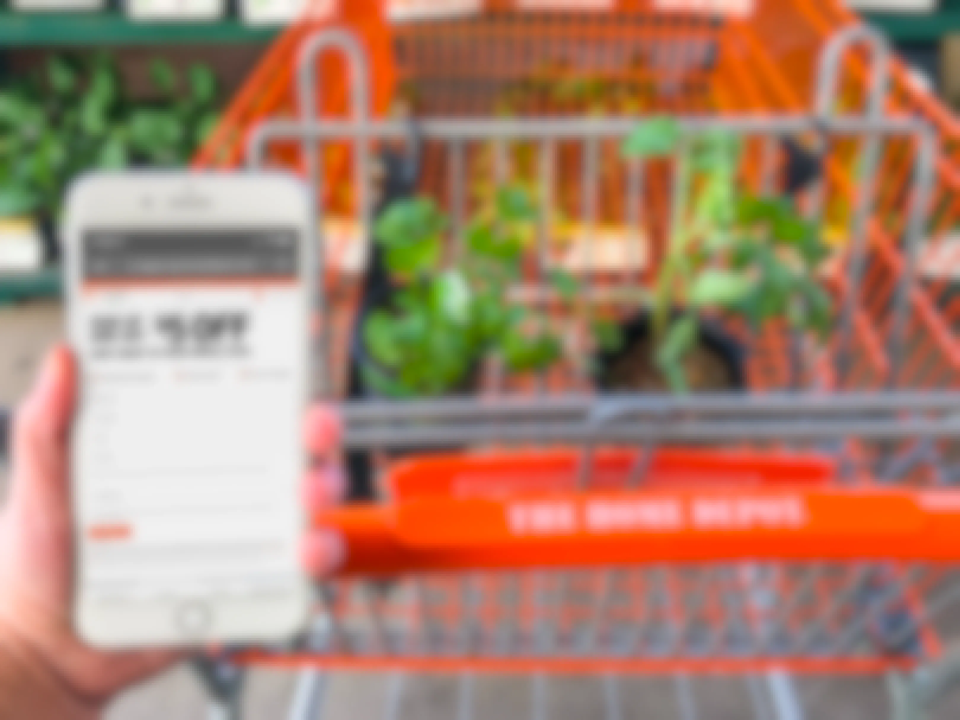 A person's hand holding an iPhone displaying the Home Depot Garden Club sign up page in front of a Home Depot shopping cart.