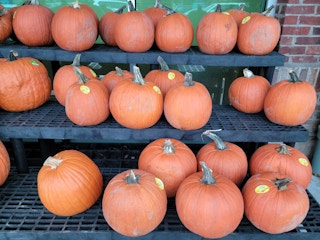 kroger pumpkin 2021 sv 1633543831 1633543831