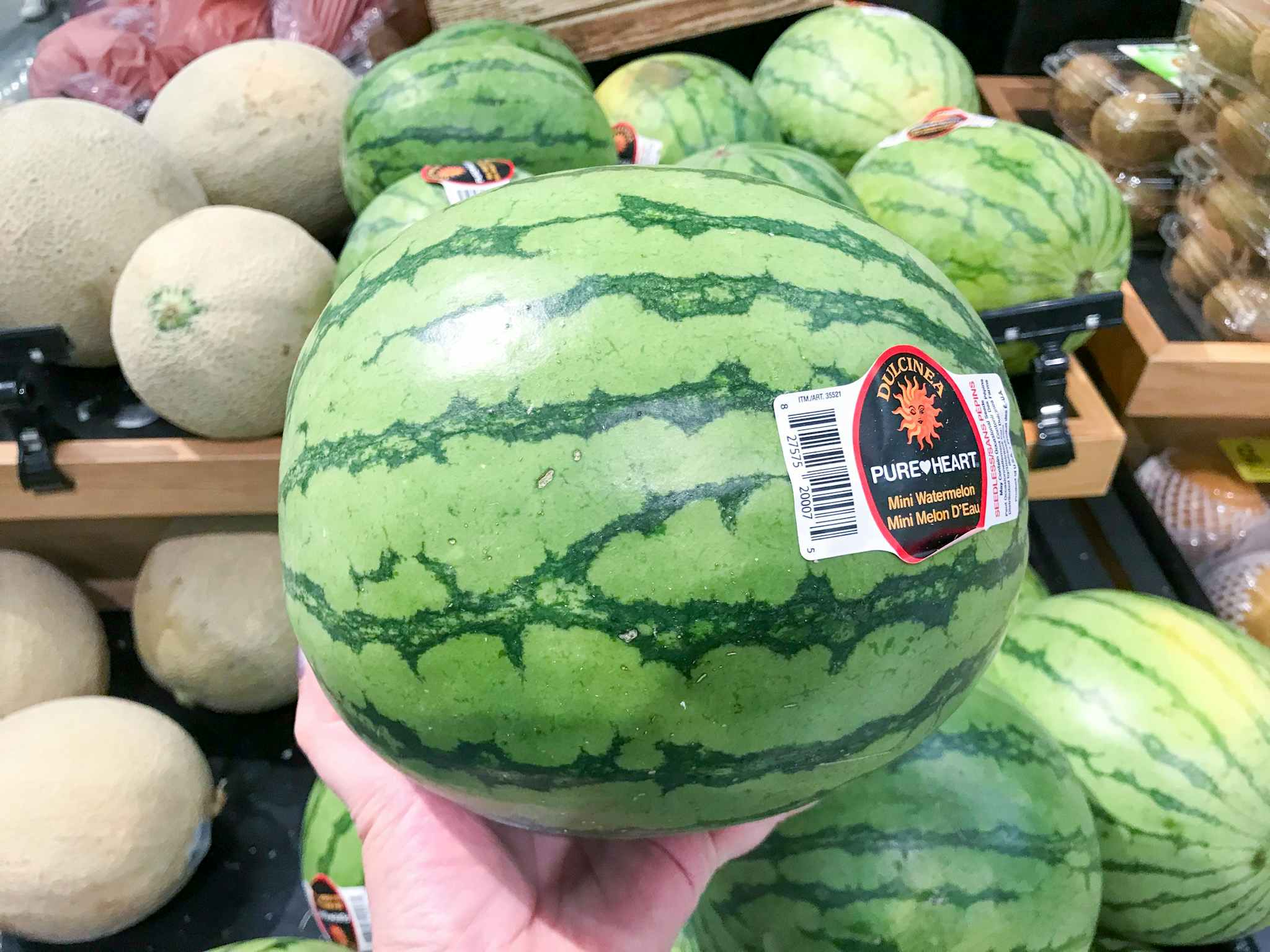 hand holding a mini watermelon at target