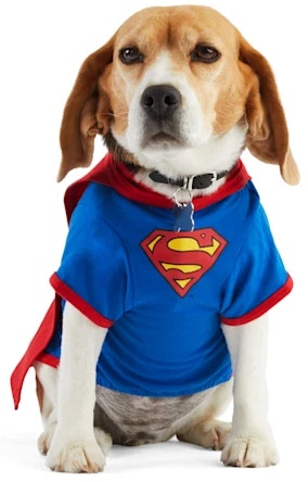 petco-halloween-costumes-102121d