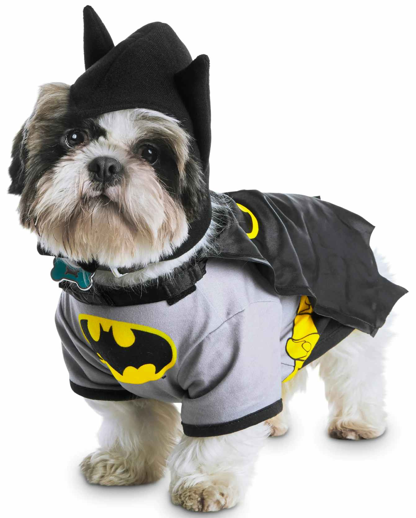  petco-halloween-costumes-102121d