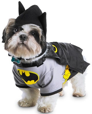 petco-halloween-costumes-102121d