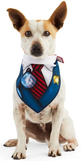 petco-halloween-costumes-102121e
