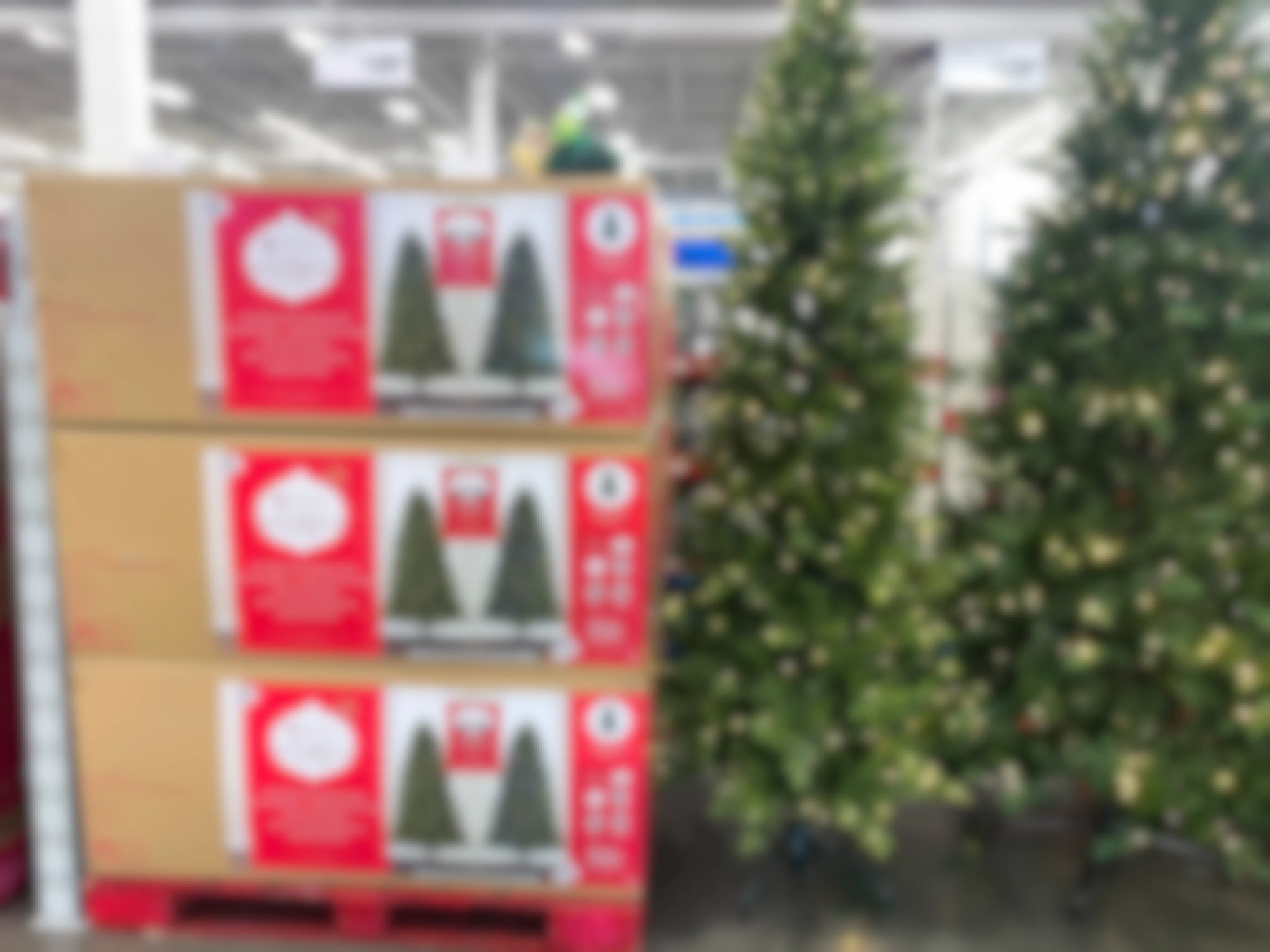 Christmas trees on display and in boxes in Sam's club. 