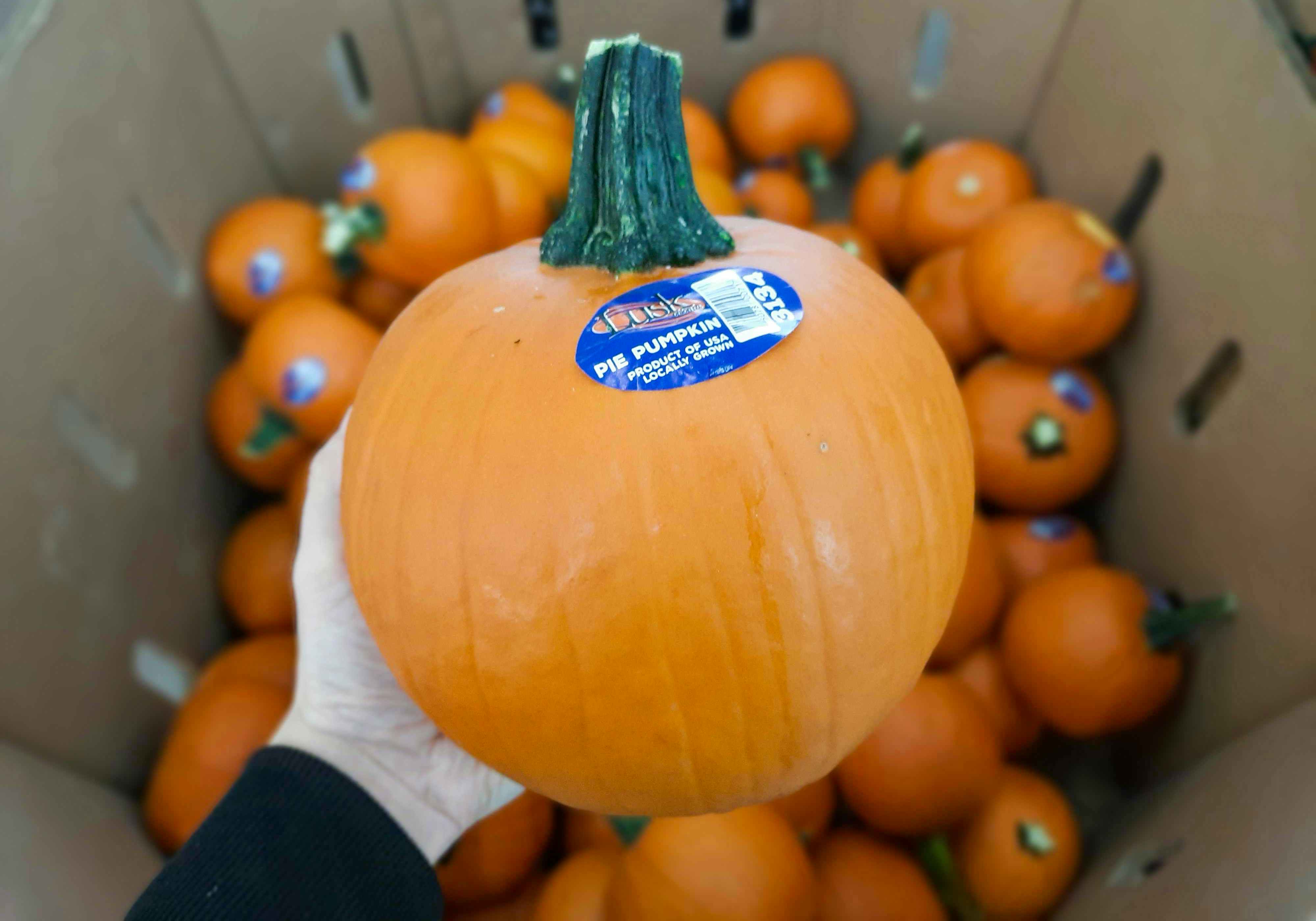 walmart-pumpkins-2021