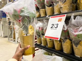 1 quart poinsettias lowes black friday 2021jpg 1 1637942199 1637942199 scaled