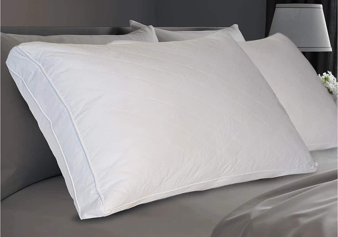 macys-down-feather-pillows-111921b