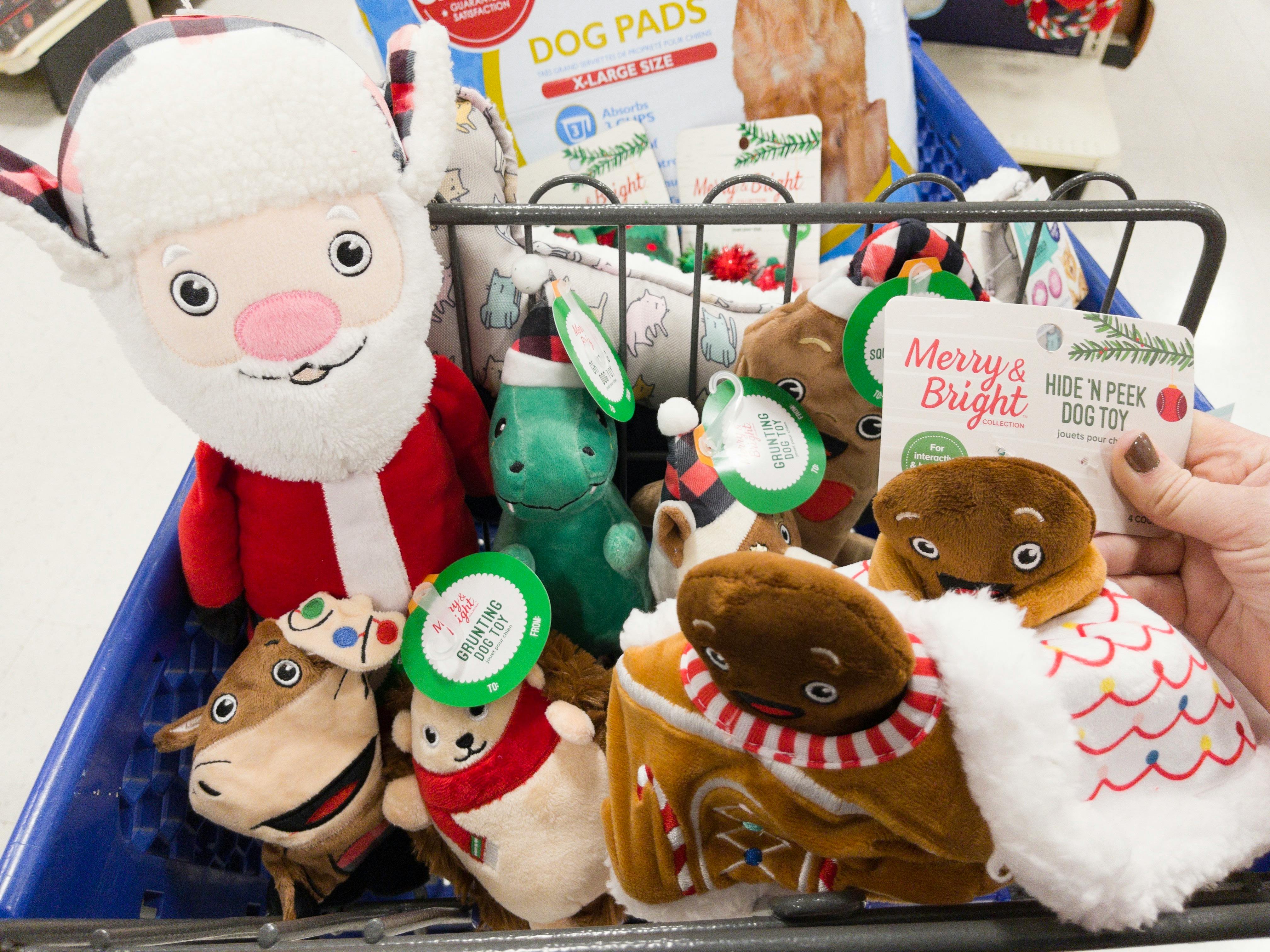 Petsmart coupon black friday