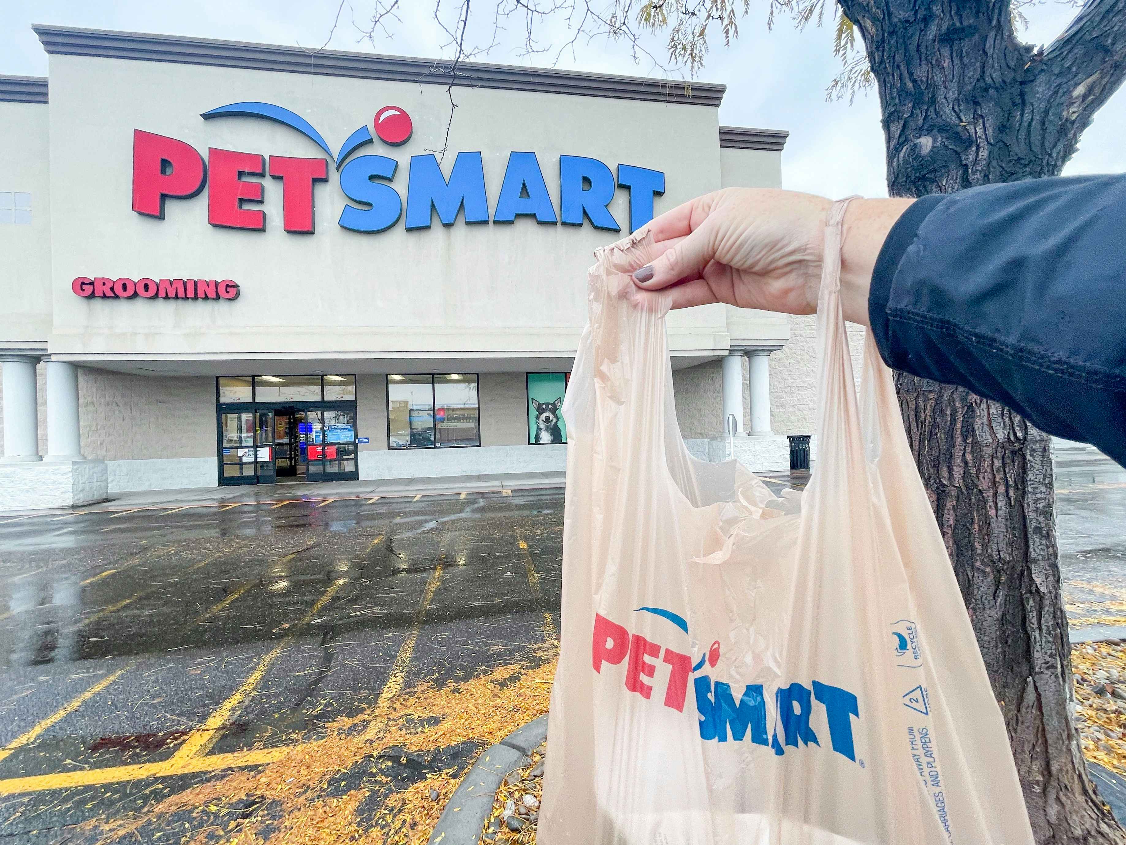 Someone outside of a Petsmart store holding a Petsmart bag of merchandise