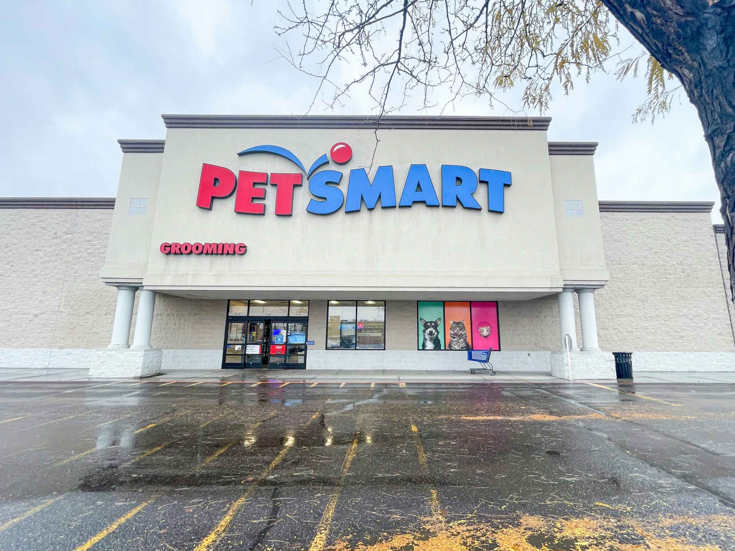 A Petsmart store front.