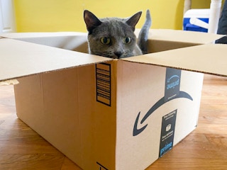 amazon box cat 2022 1650563012 1650563012 scaled