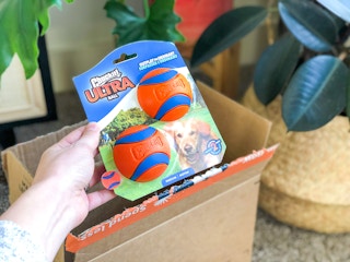 amazon chuck it balls 4 1640114587 1640114587