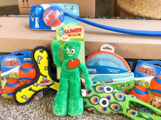 amazon dog toys chuck it tuffy gumby 5 1640114649 1640114649