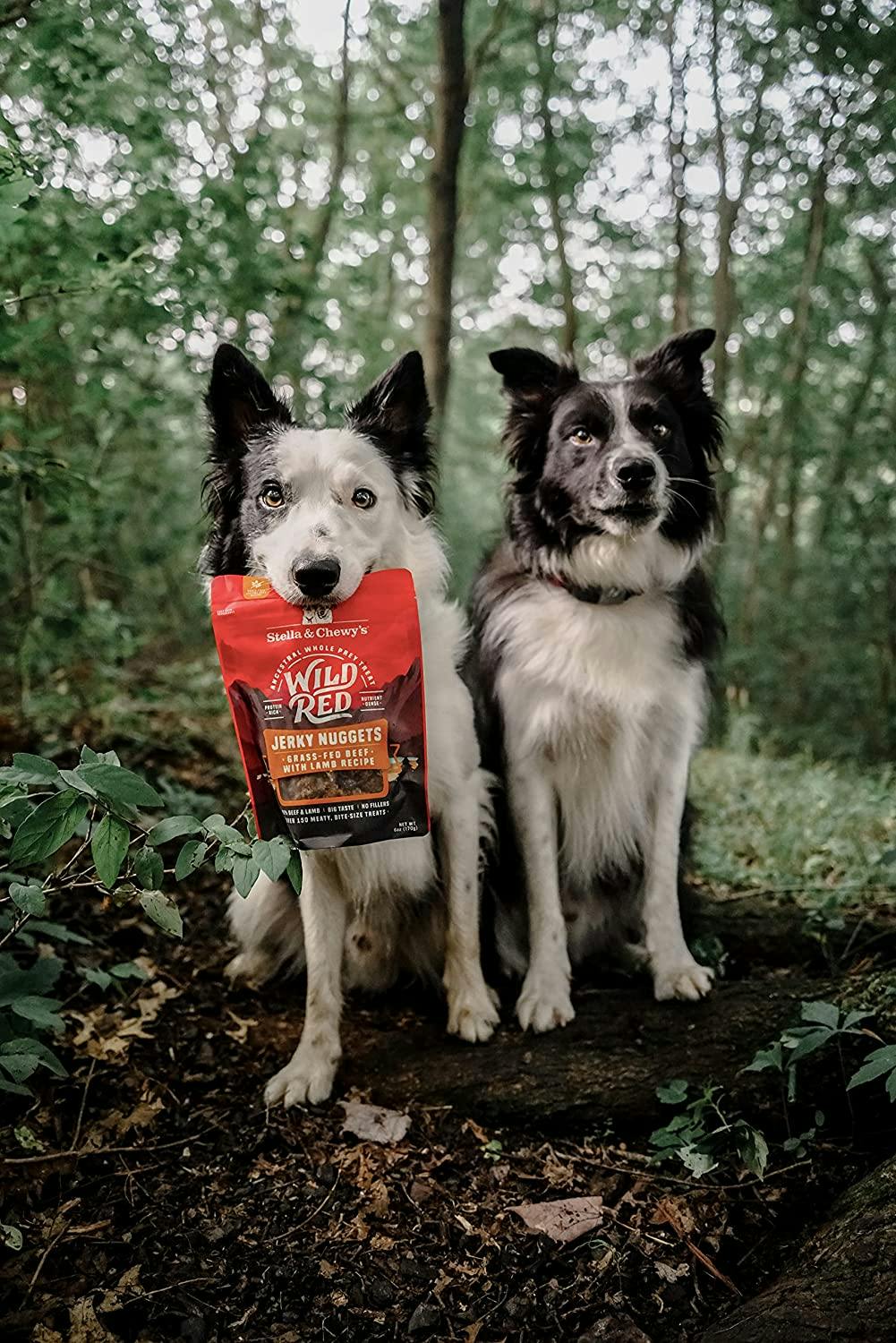 Get Kate Bosworth's Isabel Marant Coat for Less The Krazy Coupon Lady