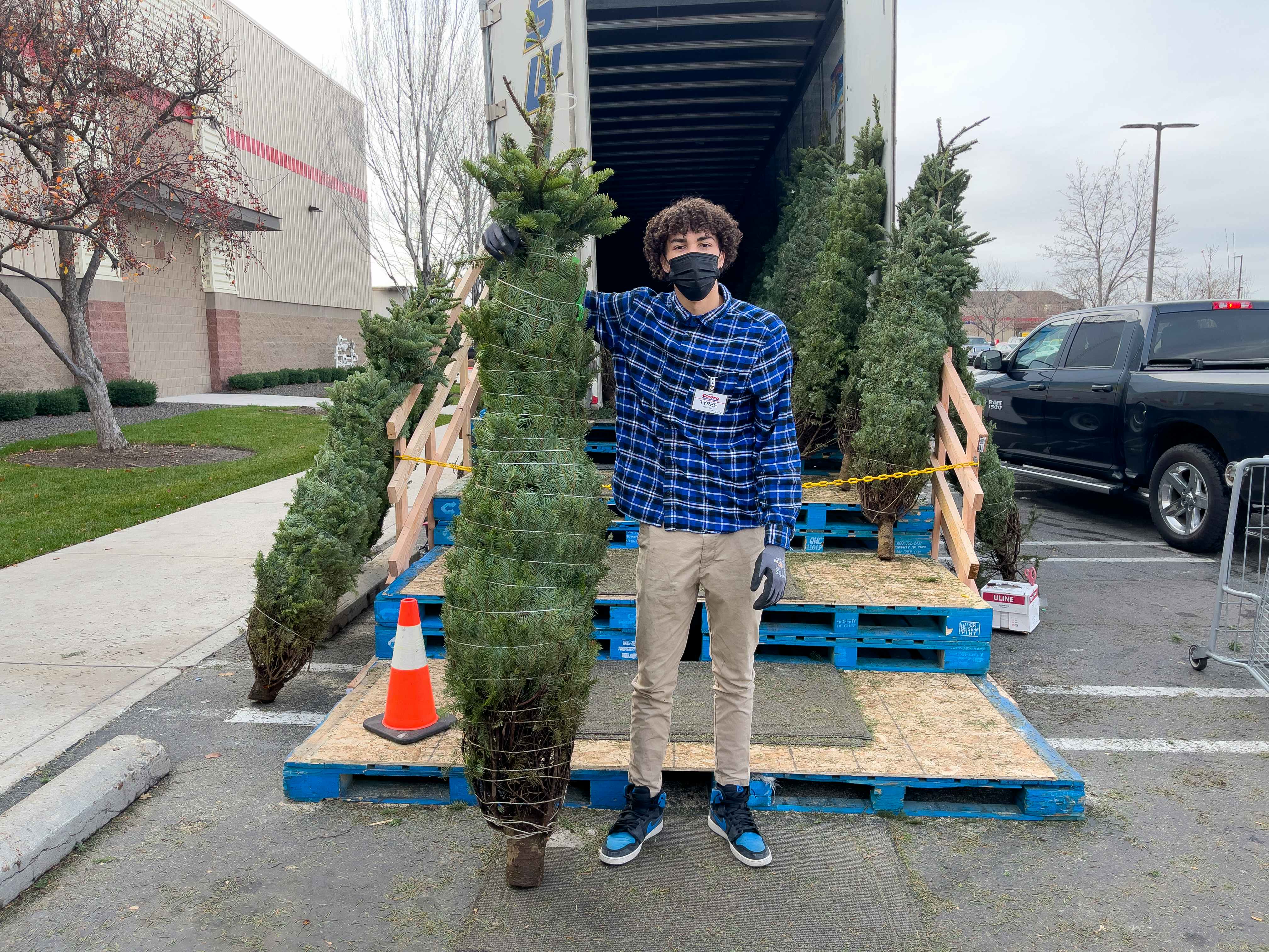 A Costco employee holding up a fresh cut Christmas tree