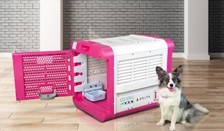 Delta Air Lines Pet Travel Kennel