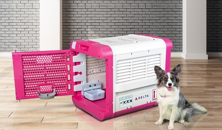 Delta Air Lines Pet Travel Kennel