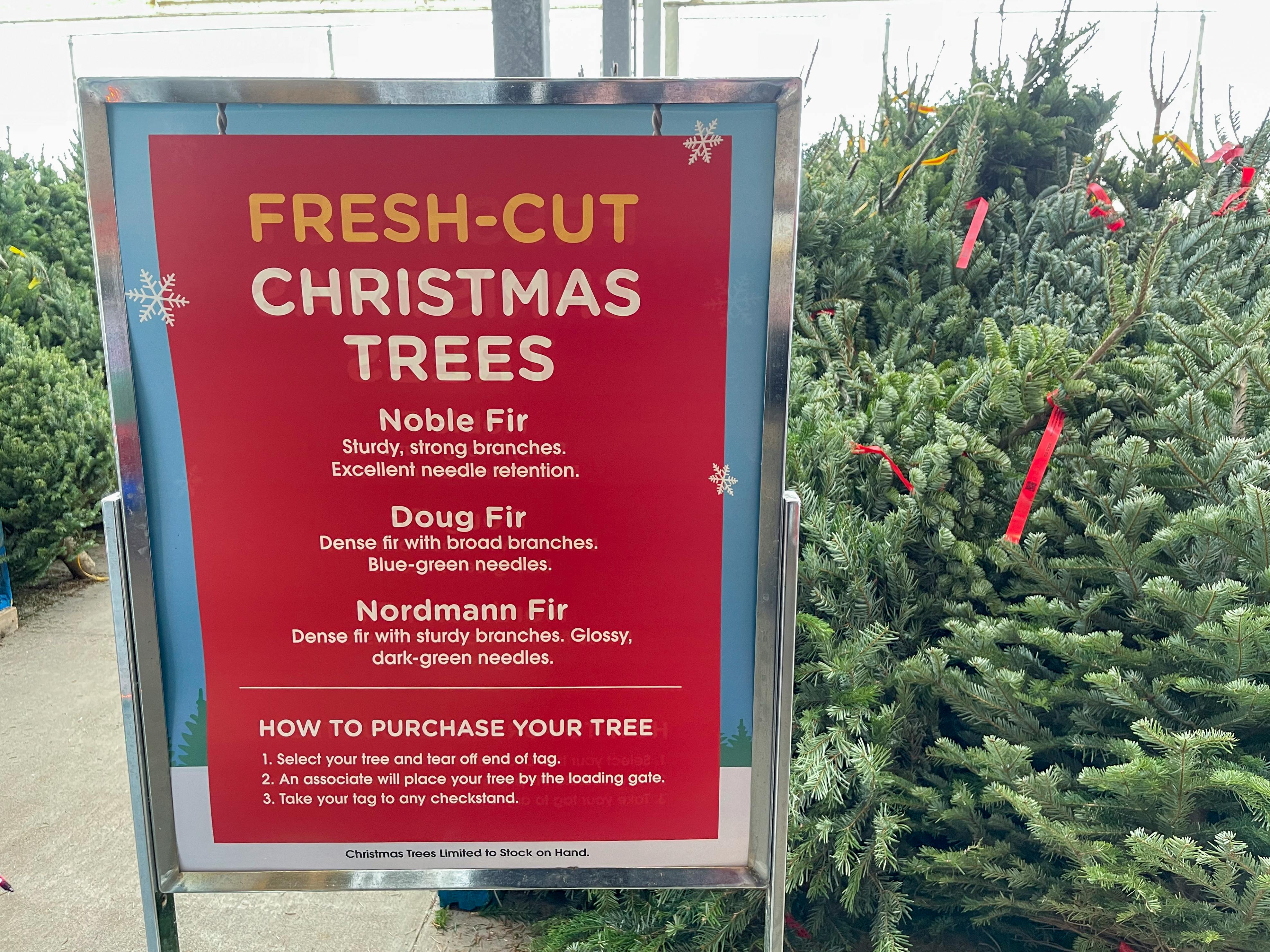 Is There a Christmas Tree Shortage This Year? The Krazy Coupon Lady