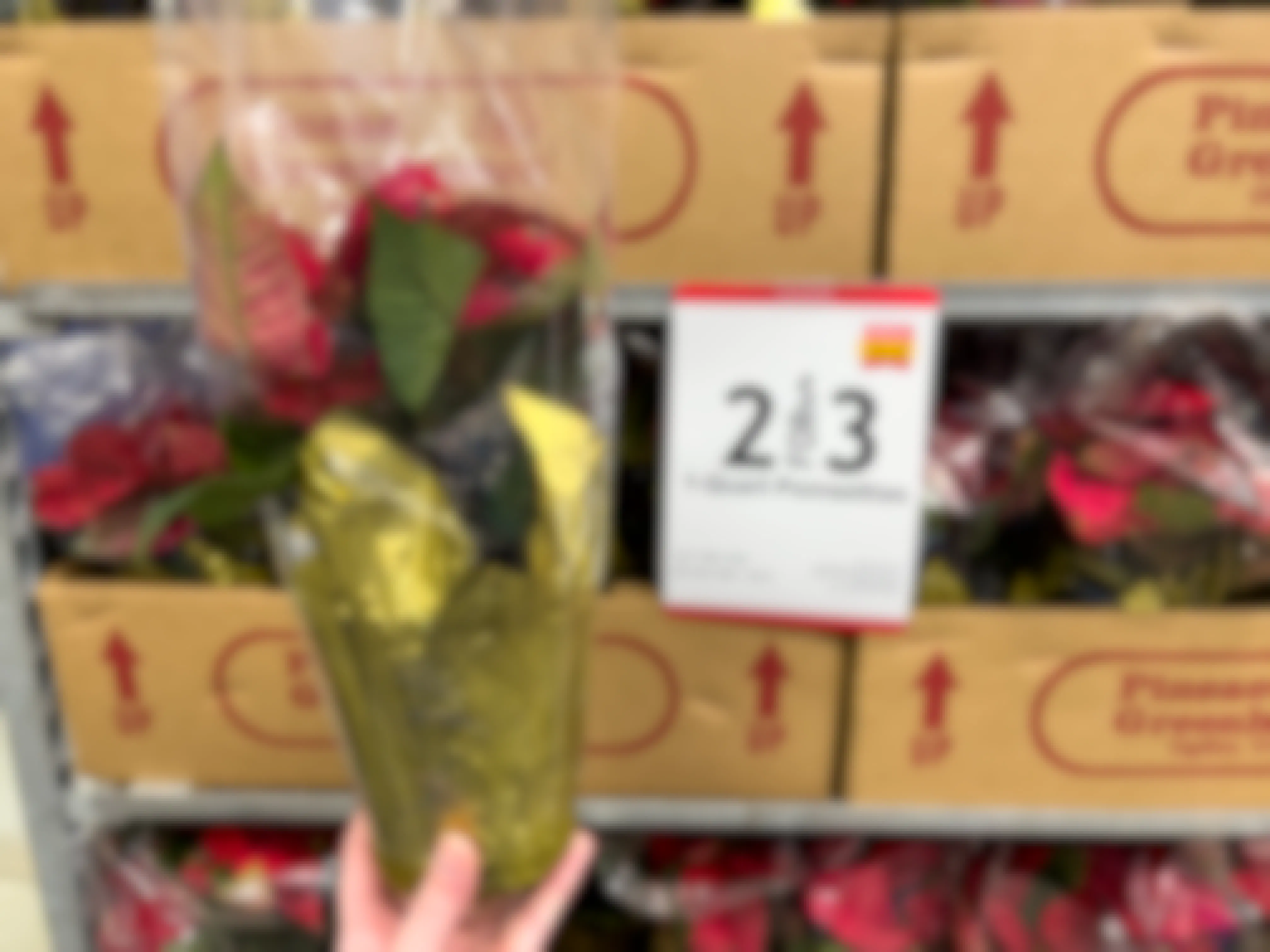 A Poinsettia held next to a sales sign indicating 2 for $3