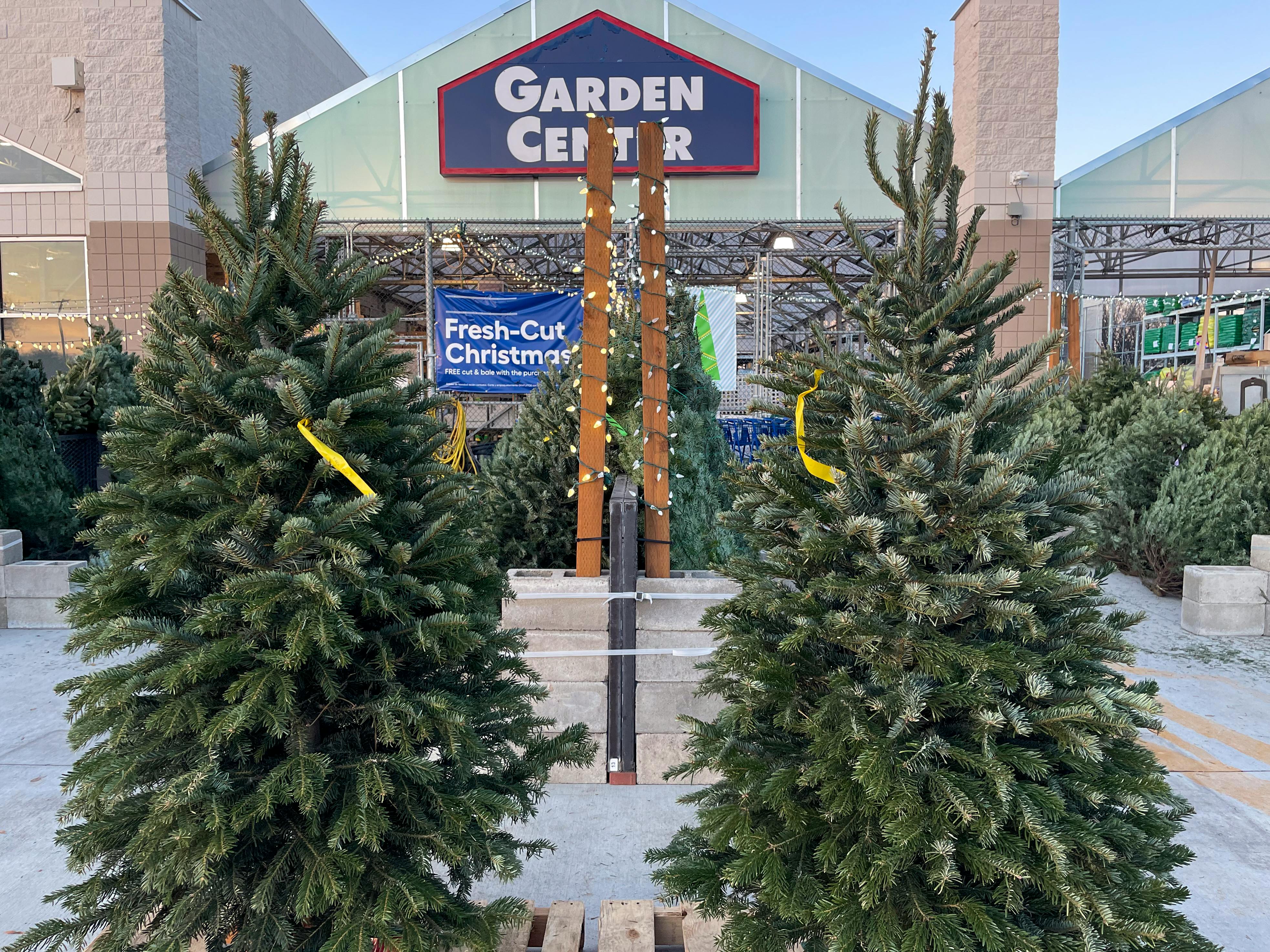 How to Get Free Lowe's Christmas Tree Delivery The Krazy Coupon Lady