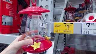 lowes year end clearance hummingbird feeder hand holding