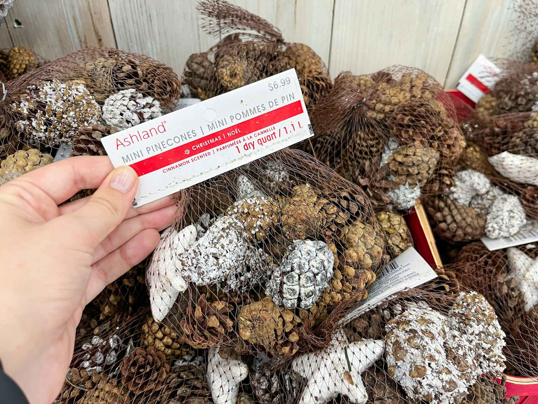 mini pinecones