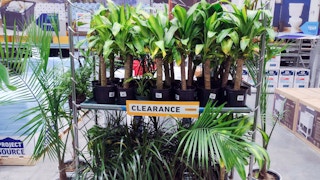 plant lowes clearance 2021 1640729279 1640729279
