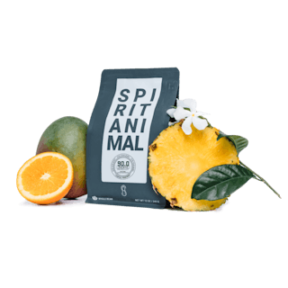 spirit animal bag 1638465076 1638465076