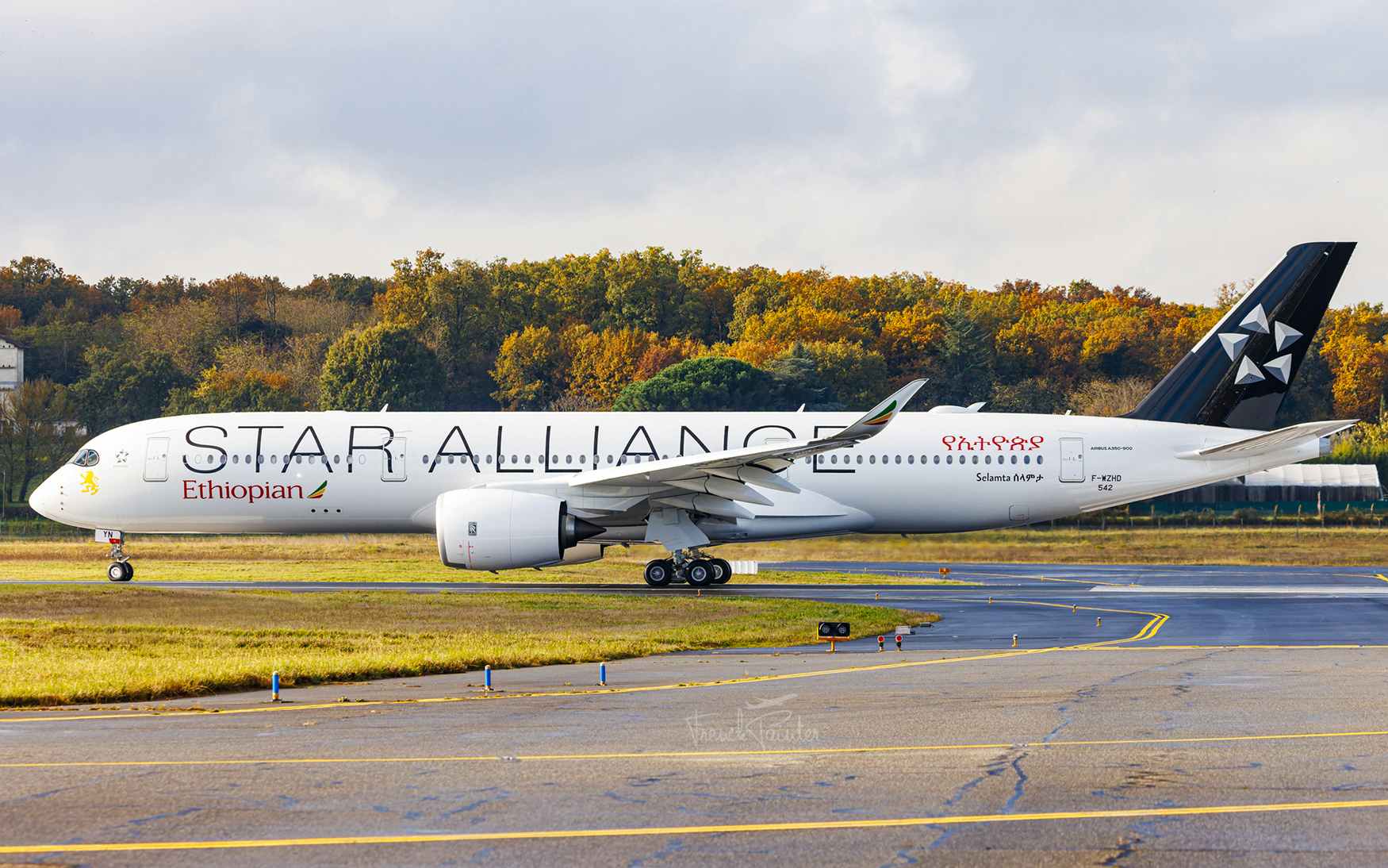 Ethiopian Airlines Star Alliance-branded airplane
