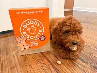 amazon buddy biscuits img 8382 2 1661523681 1661523681