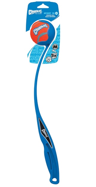 amazon chuck it screenshot 1641304279 1641304279