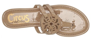 An almond-colored Circus by Sam Edelman flat.