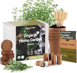 amazon indoor herb garden 1643650428 1643650428