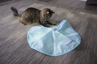 A cat playing with a SmartyKat Hot Pursuit toy.