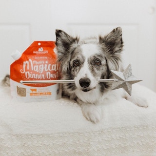 amazon stella chewy dinner dust 1641913782 1641913782