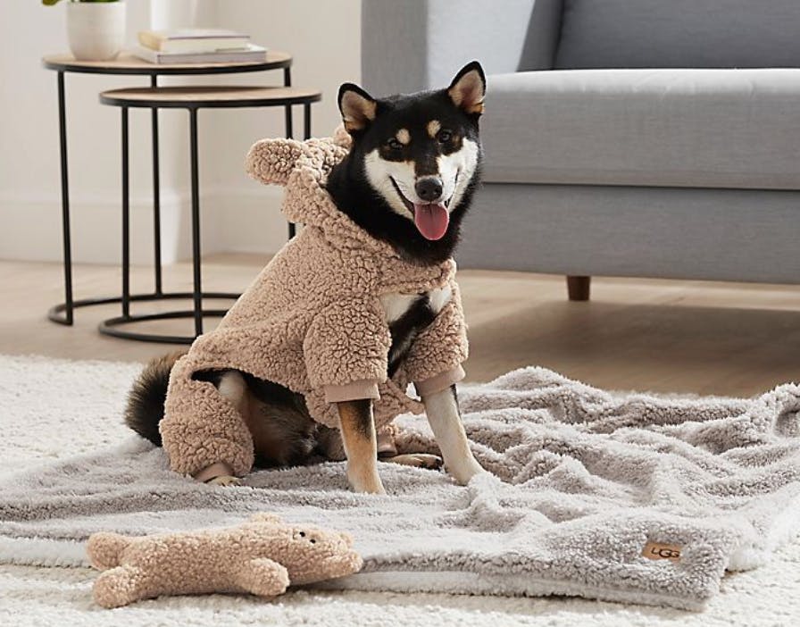 ugg bed bath and beyond dog
