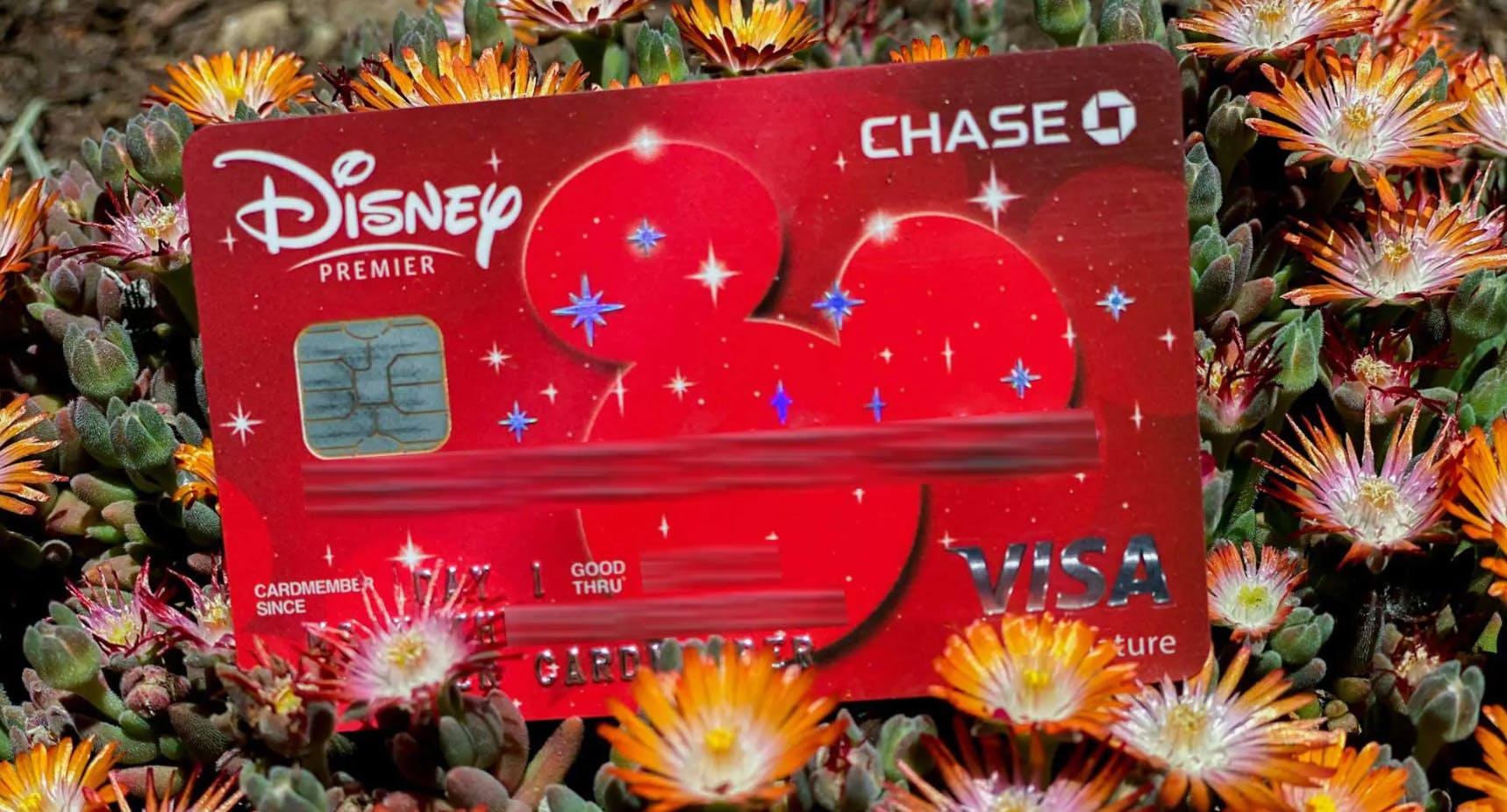Disney Visa Chase Premier Card