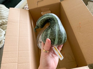 michaels grab bags january 2022 35