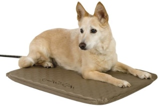 walmart-k-h-heated-pet-bed-2022