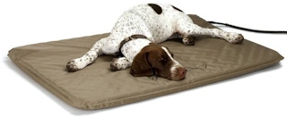 walmart-k-h-heated-pet-bed-2022