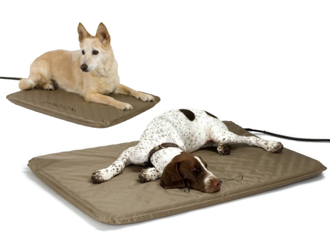 dog heating pad walmart