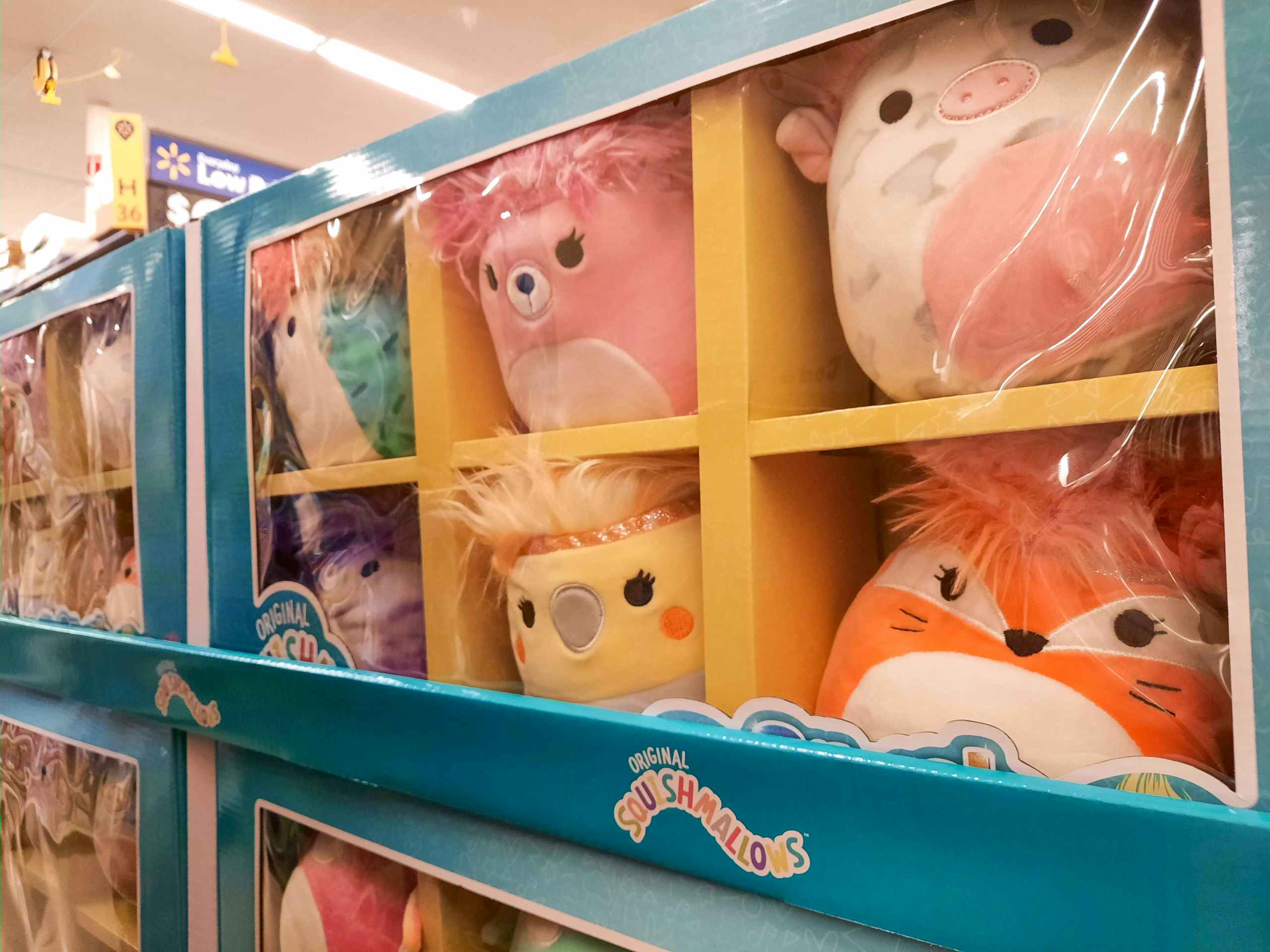 walmart squishmallows squish-doos on shelf