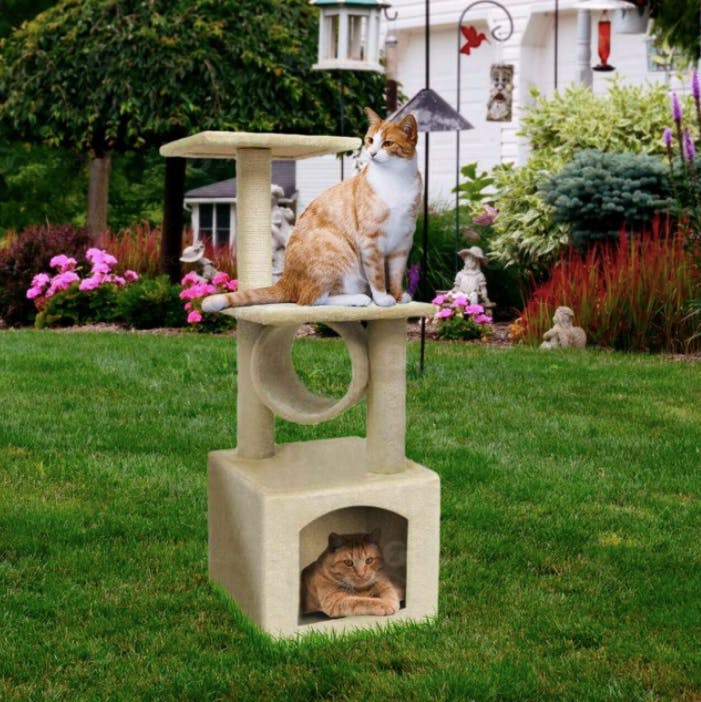 cat tree under $40