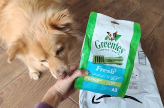amazon greenies dog treats 1646323653 1646323653